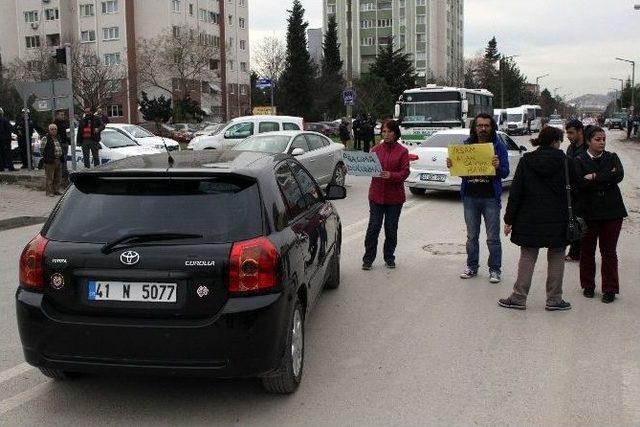 Mahallelerindeki Ağaçları Kestirmemek İçin Eylem Yaptılar