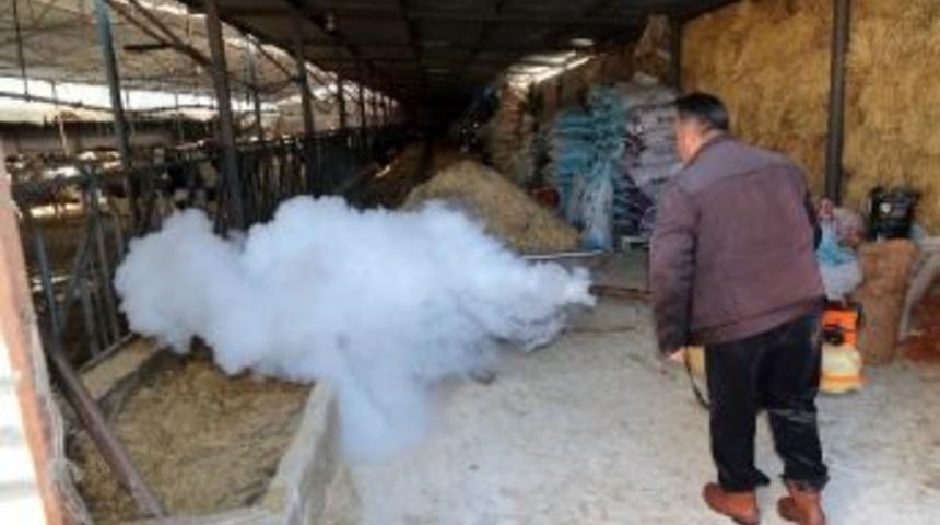 Aksaray Belediyesinden Haşere M&uuml;cadelesi