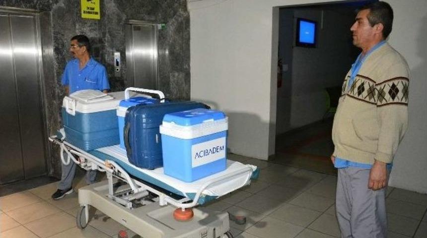 74 Yaşındaki Kadının Organları 5 Kişiye Umut Oldu