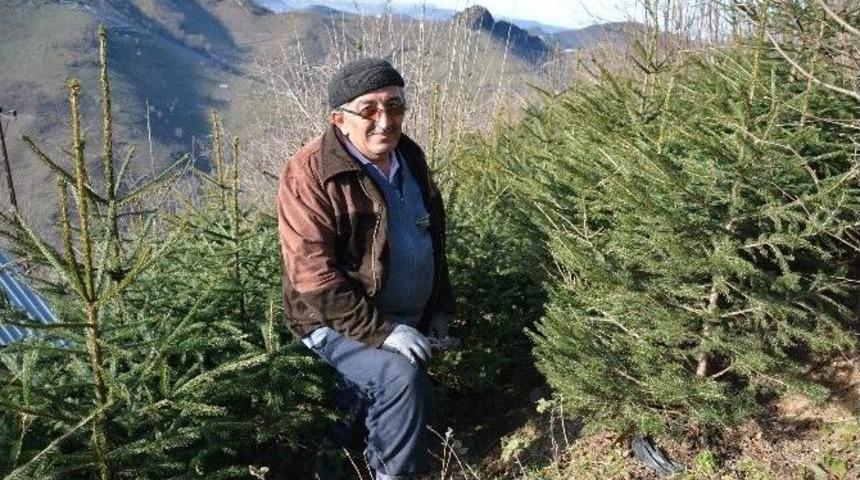 Yatırım Yaptığı İşinden Zarar Edince Hatıra Ormanı Kurmaya Karar Verdi