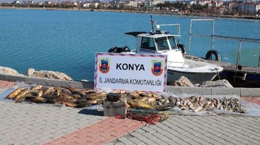 Beyşehir Gölünde Elektroşokla Avlanmaya Suçüstü