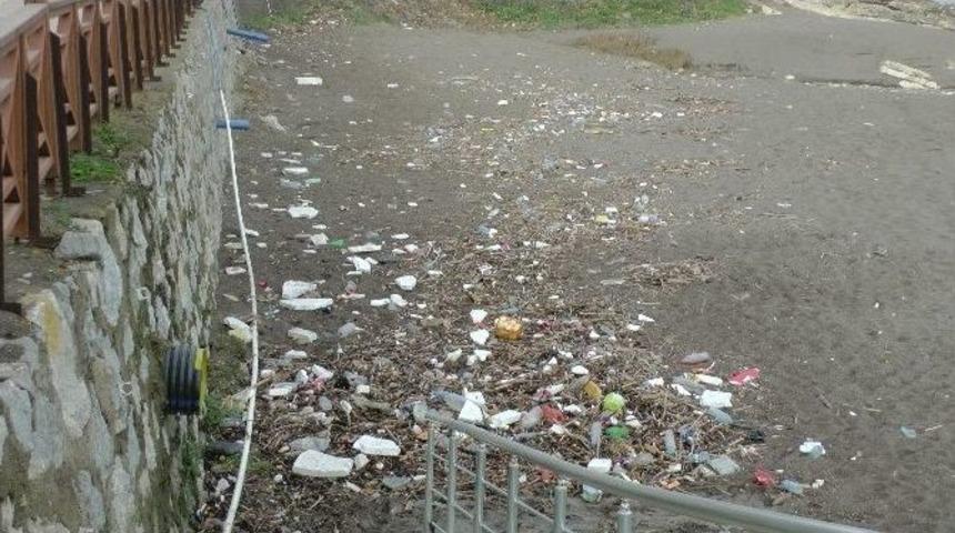 Karadeniz Sahilleri &Ccedil;&ouml;ple Doldu