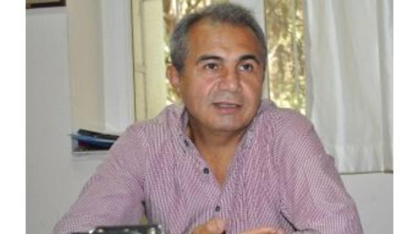 Kansere Bağışıklık Sistemiyle Tedavi