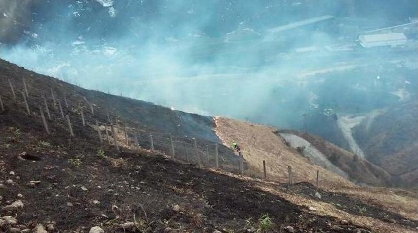 &Ccedil;ayeli&rsquo;nde &Ouml;rt&uuml; Yangını