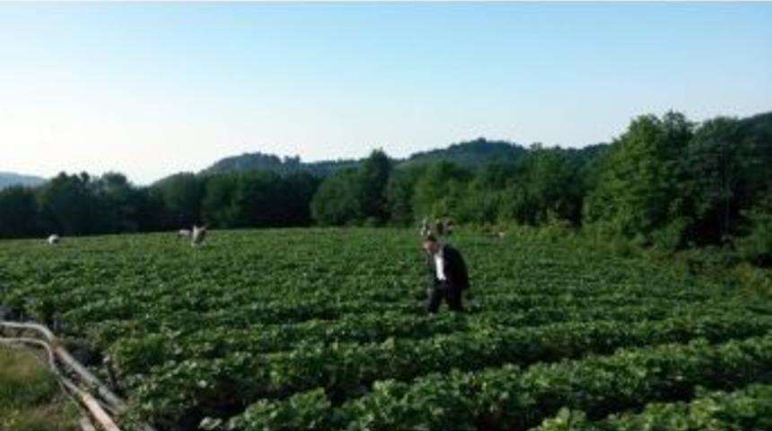 Ordu&rsquo;da Organik Tarım Artıyor