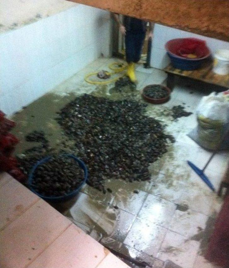 Beyoğlu’nda "midye" Operasyonu G3