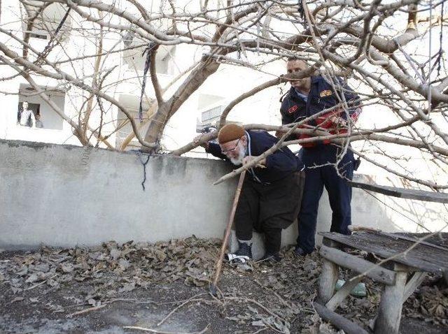 Ağaçta Mahsur Kalan Adamı İtfaiye Ekibi Kurtardı