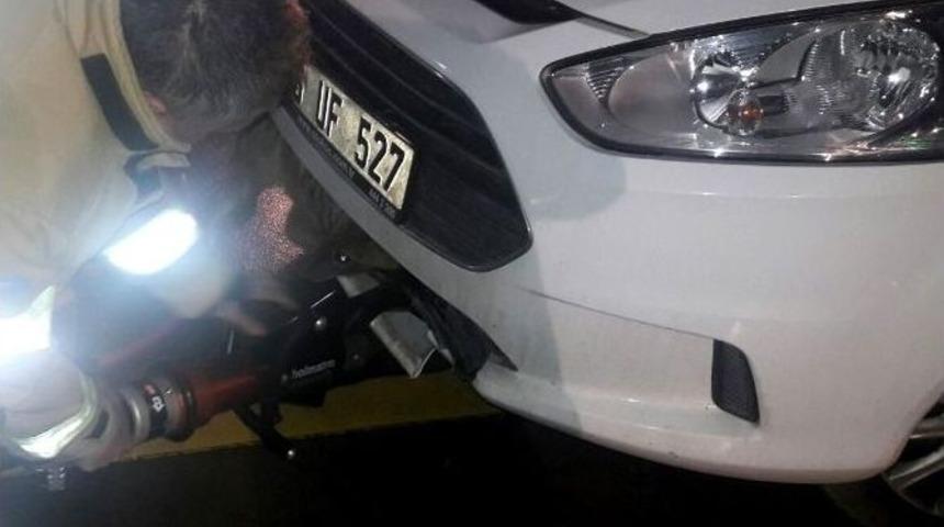 Araca Tilki Sıkıştı