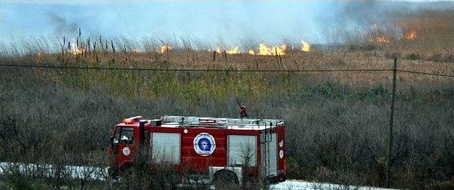 Antalya’da Sazlık Yangını