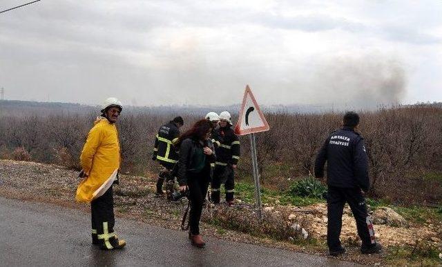 Antalya’da Sazlık Yangını