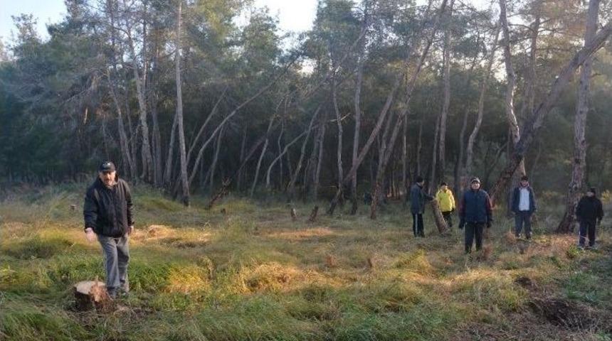 &Ccedil;amlıkta Ağa&ccedil; Katliamı