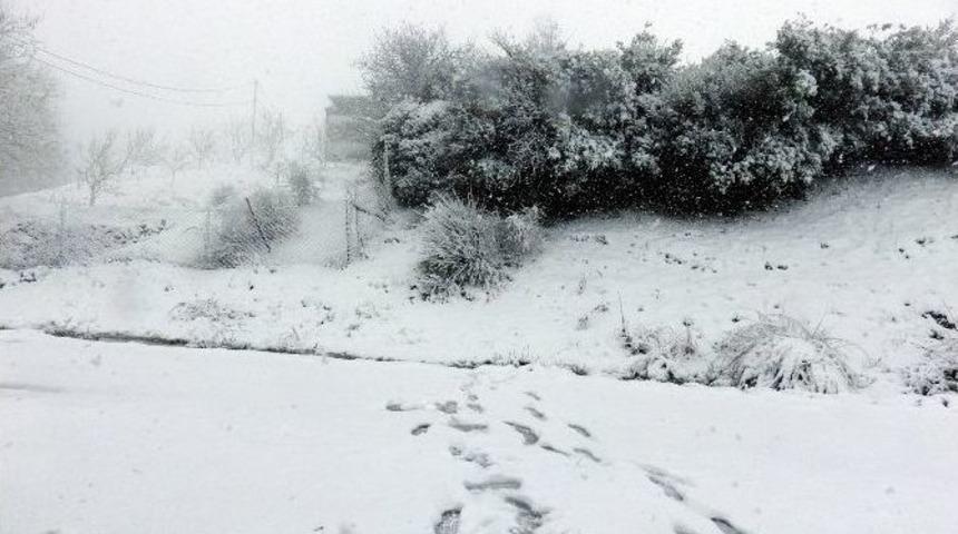 &Ccedil;anakkale Beyaza B&uuml;r&uuml;nd&uuml;