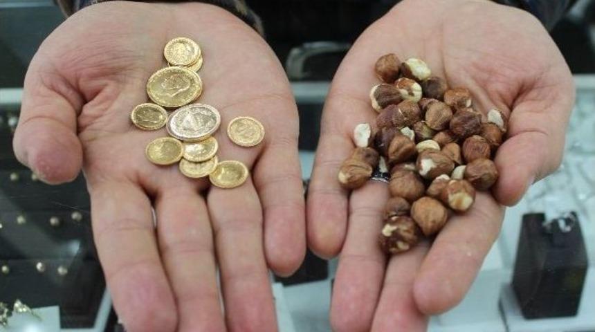 Keskin: "fındığını Satamayan &Uuml;retici Y&uuml;zde 50 Zarar Etti"