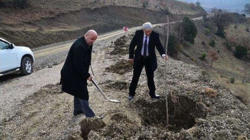 &Ouml;zel İdare Ve Orman İşletme M&uuml;d&uuml;rl&uuml;ğ&uuml;nden &Ouml;rnek &Ccedil;alışma