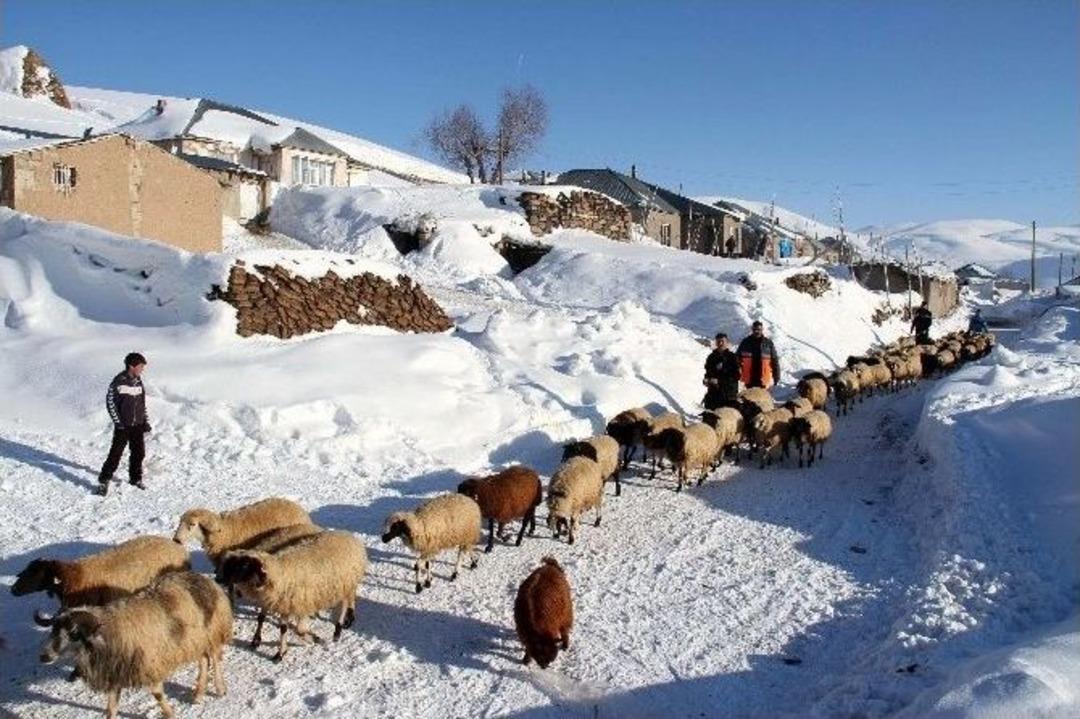 Van&rsquo;da Zorlu Kış Şartları