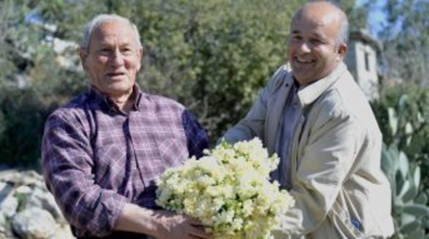 B&uuml;y&uuml;kşehir&rsquo;in Dağıttığı Nergis Soğanları İlk &Ccedil;i&ccedil;eklerini A&ccedil;tı