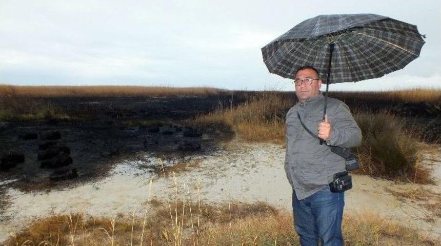 G&ouml;ksu Deltasındaki Yangını Yağmur S&ouml;nd&uuml;rd&uuml;