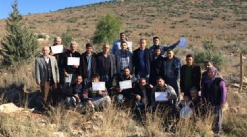 Tarsus&rsquo;ta Aşılanan Zeytin Ve Harnup Ağa&ccedil;ları Orman K&ouml;yl&uuml;s&uuml;ne Dağıtıldı