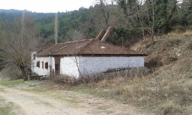 Çakıcı Köprüsü Ve Çıplak Değirmen Yoluna Büyükşehir’den Bakım