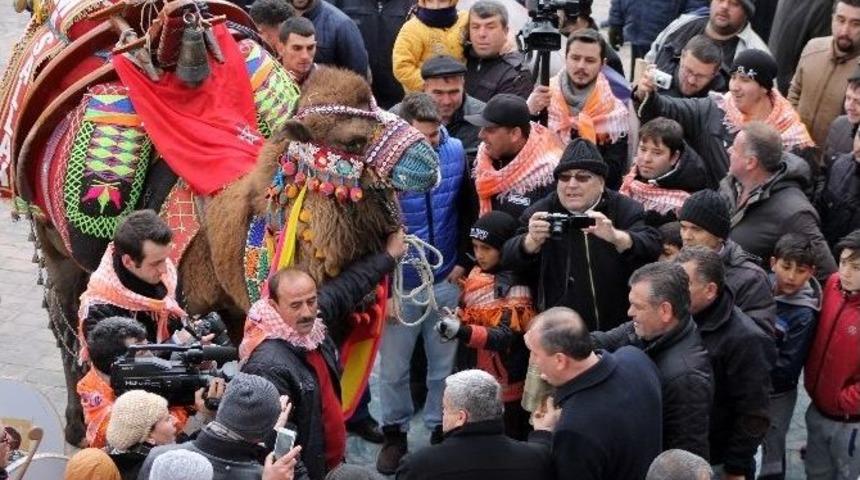 Bu Da Deve G&uuml;zeli