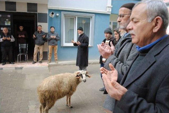 Yaralanan Özel Harekatçı Meydan Okudu