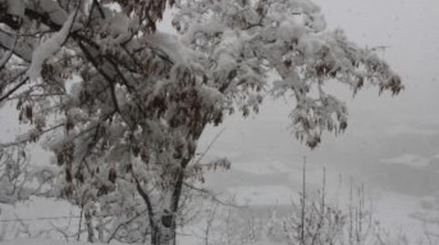 Hakkari&rsquo;de Karla M&uuml;cadele &Ccedil;alışması