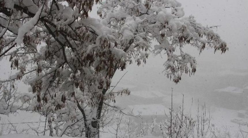 Hakkari&rsquo;de Kar Esareti