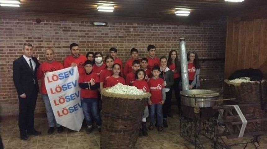 L&ouml;sev&rsquo;li &Ccedil;ocuklar İpek &Ccedil;ekimini &Ouml;ğrendiler