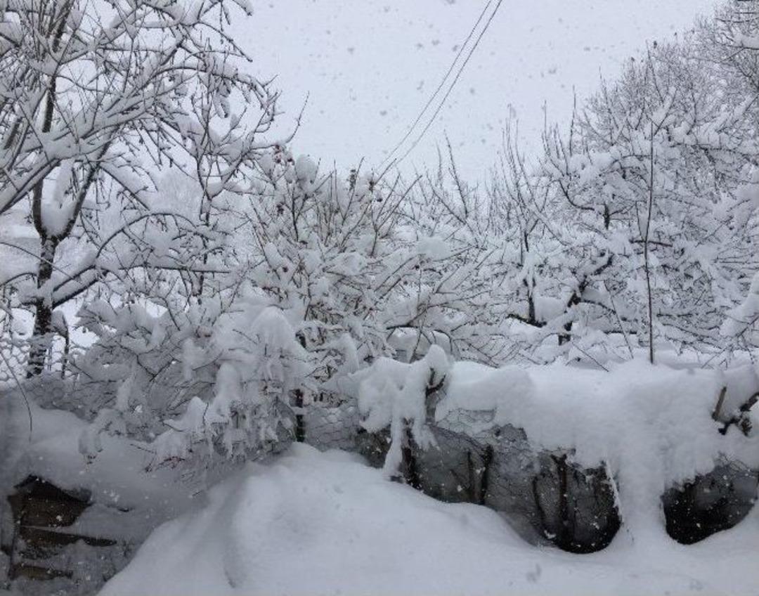 Yedisu’da Kar Esareti
