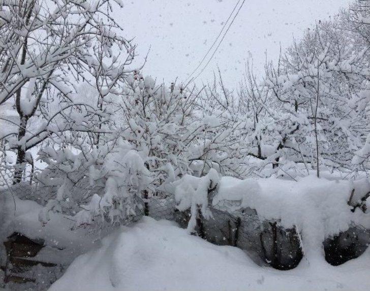 Yedisu’da Kar Esareti G1