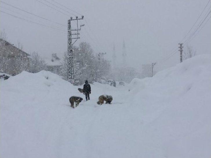 Yedisu’da Kar Esareti G2