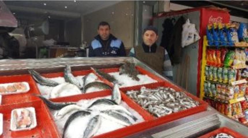 Hava Isındı Balık Fiyatları D&uuml;şt&uuml;