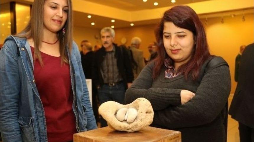 Doğadan Toplayıp Sergilediler