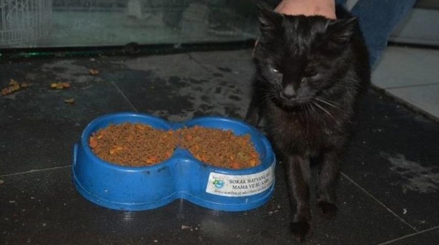 Tatvanlı Esnaftan &Ouml;rnek Davranış