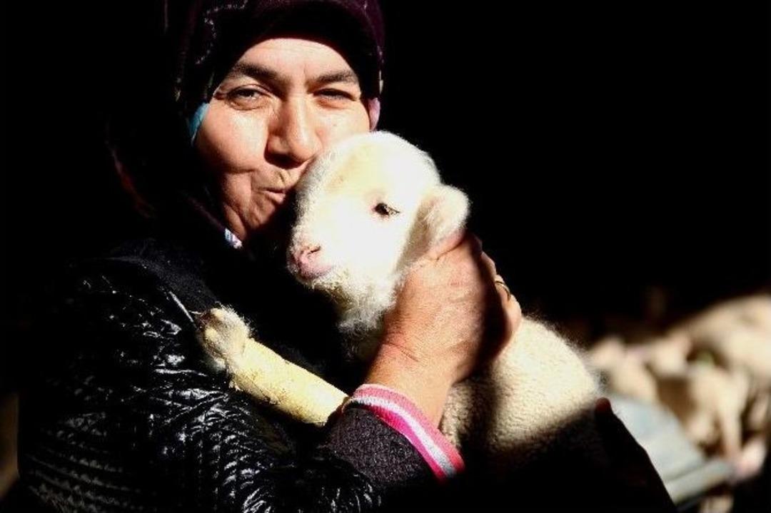 (&ouml;zel Haber) Sakat Kuzuya Anne Şefkati