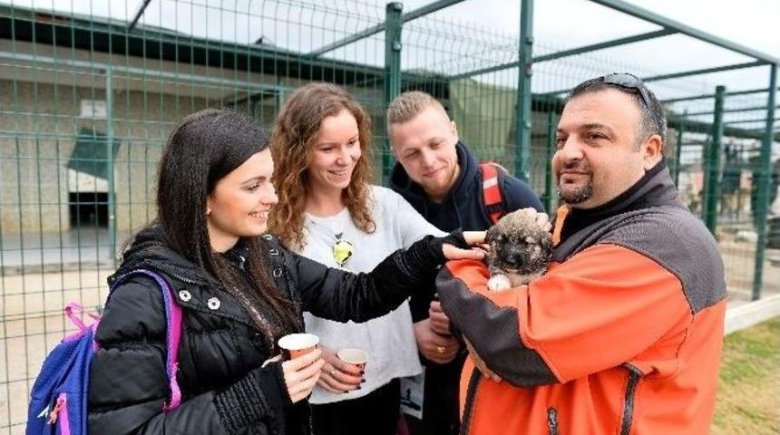 Erasmus &Ouml;ğrencileri Sokak Hayvan Rehabilitasyon Merkezi&rsquo;nde
