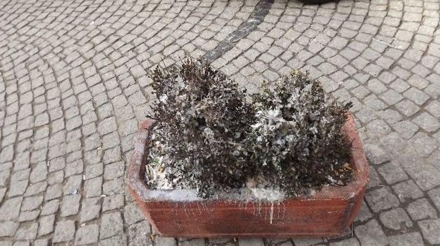 Hamamyolu’nda Hayret Uyandıran Bir Olay