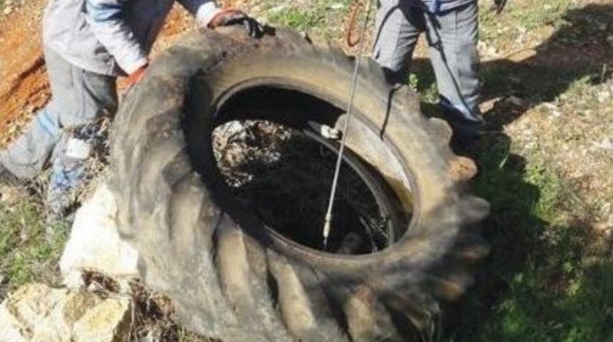 Gazipaşa&rsquo;da Sinekle M&uuml;cadele &Ccedil;alışmaları