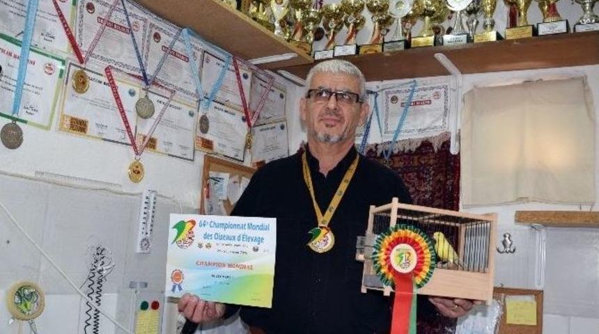 D&uuml;nya Kanarya Şampiyonasına T&uuml;rk Damgası