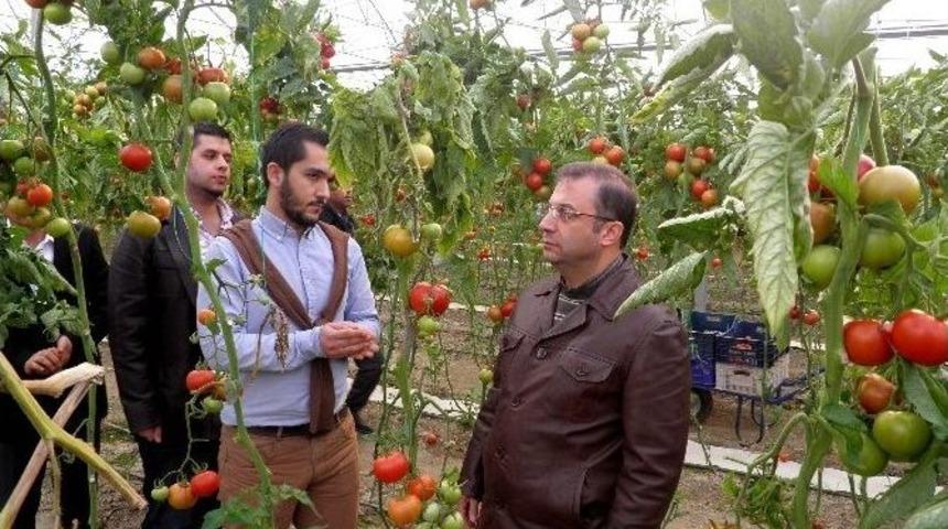 Vali T&uuml;rker, Seraları İnceledi