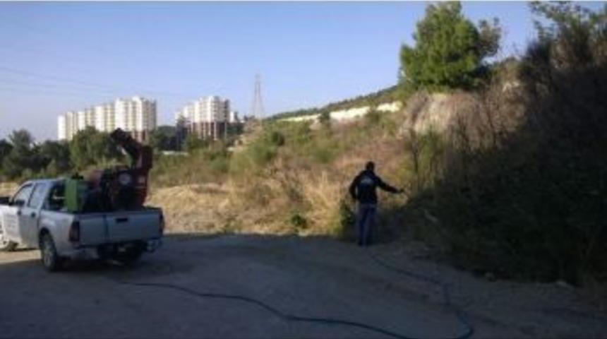 Dingil: &ldquo;parolamız Sineksiz Bir Yaz&rdquo;