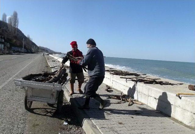 Sel Sularıyla Gelen Odunlar, Yakacak Sıkıntısı Çeken Vatandaş İçin Umut Oldu