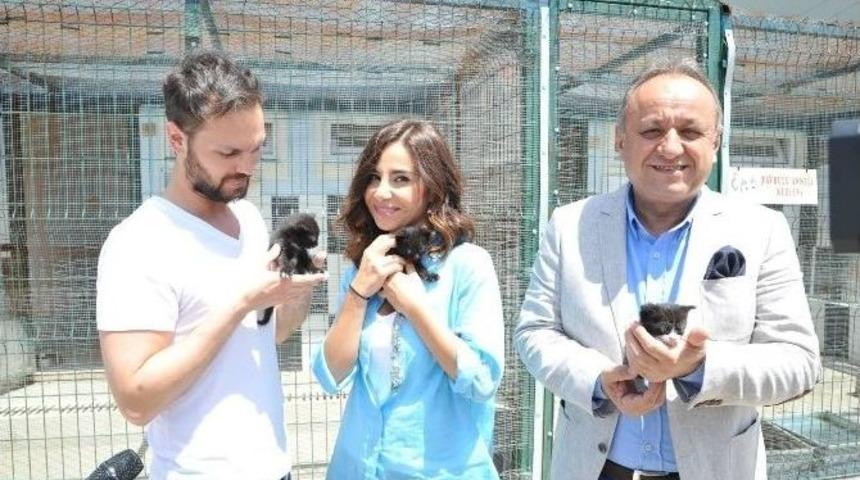 Kastamonu Belediyesi, Sokak Hayvanlarını Koruyor