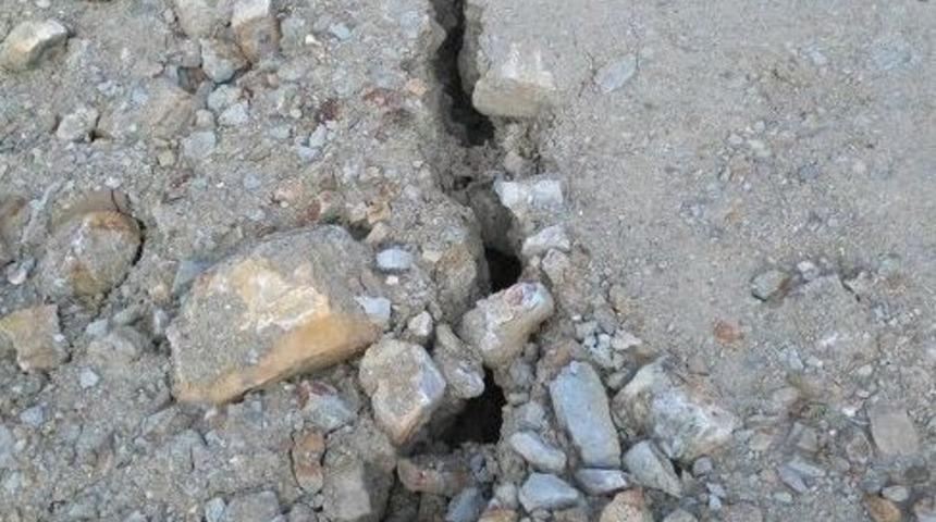 &Ccedil;atalzeytin Yolunda &Ccedil;&ouml;kme Tehlike Sa&ccedil;ıyor