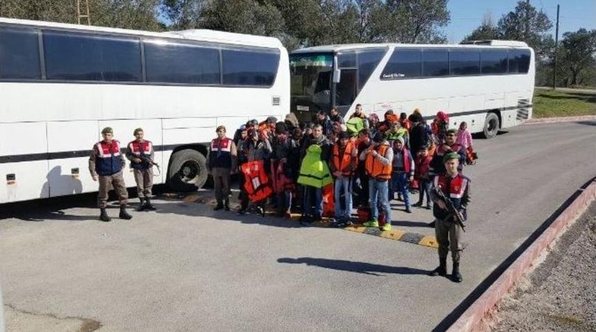 Balıkesir&rsquo;de 200 M&uuml;lteci Yakalandı