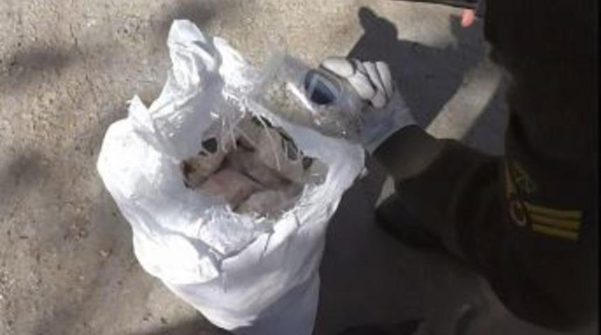 9 Ay Takip Edilen Tekneye Uyuşturucu Baskını