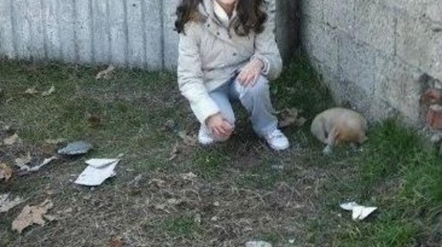 Bah&ccedil;ede Bulduğu Yavru K&ouml;peğin Başında Yetkililerin Gelmesini Bekledi