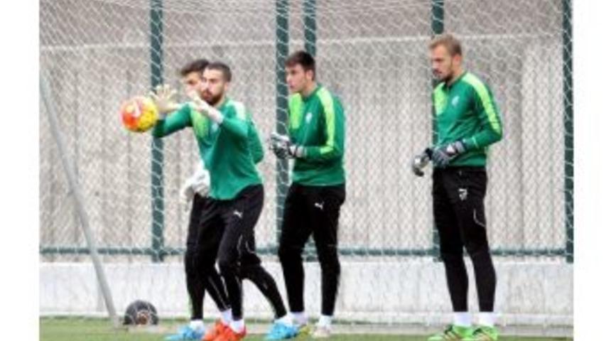 Mert G&uuml;nok Kesik Yedi