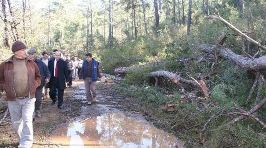 (&ouml;zel Haber) Ağa&ccedil; Kesimi K&ouml;yl&uuml;y&uuml; Ayağa Kaldırdı