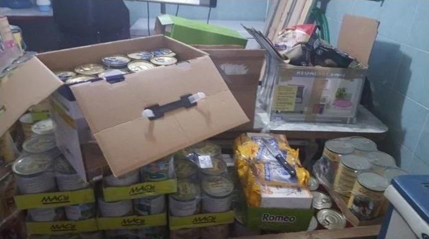 Didim&rsquo;de Barınak İle Alman Kurumunun İş Birliği Meyvesini Verdi